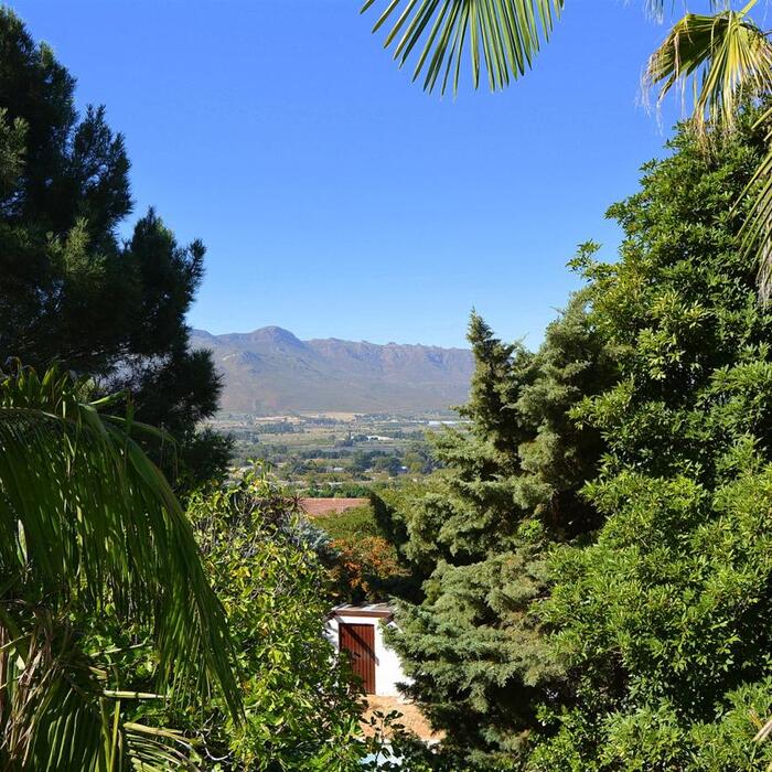 Room View